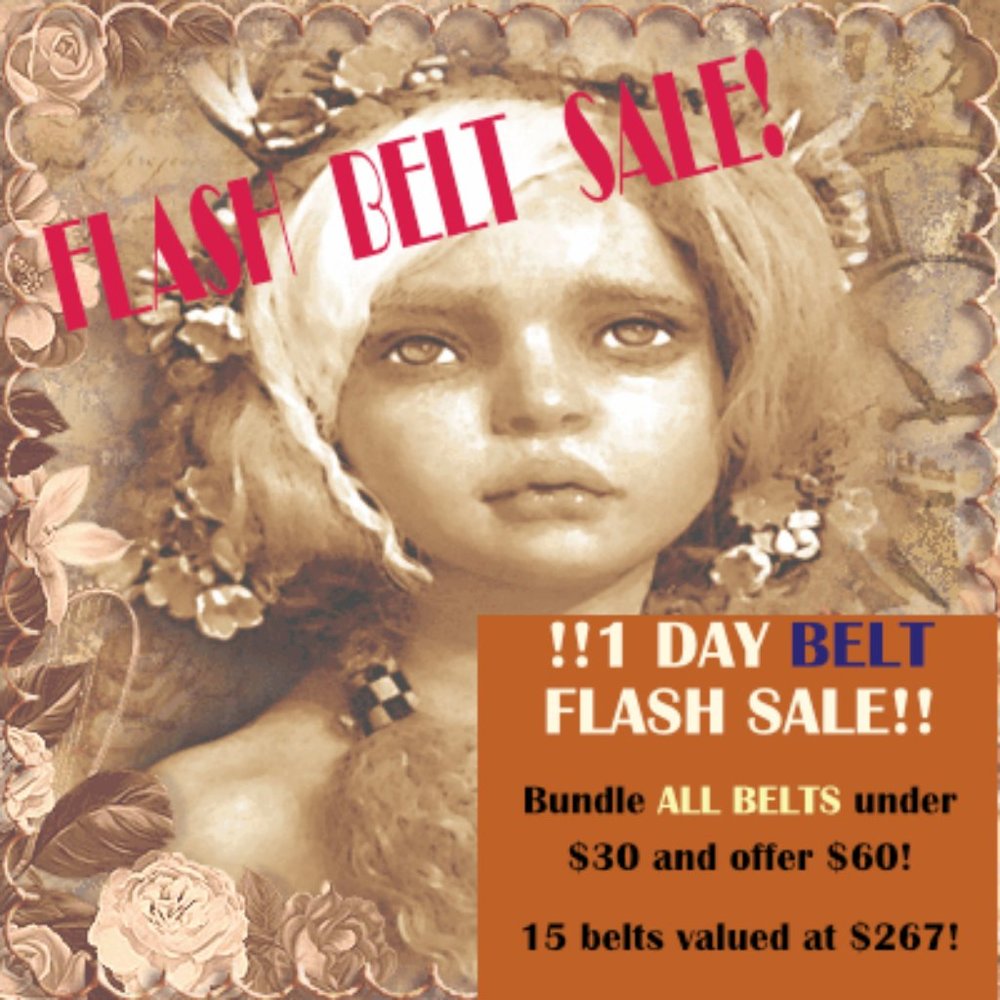 One Day Flash BELT Sale! All under $30 for 1 price! Save $207!